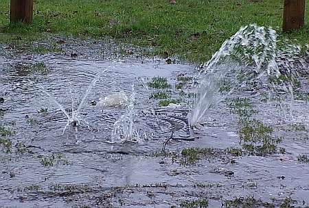 The drains can't take the strain in Maidstone's Mote Park. Picture sent in by Richard Wingett