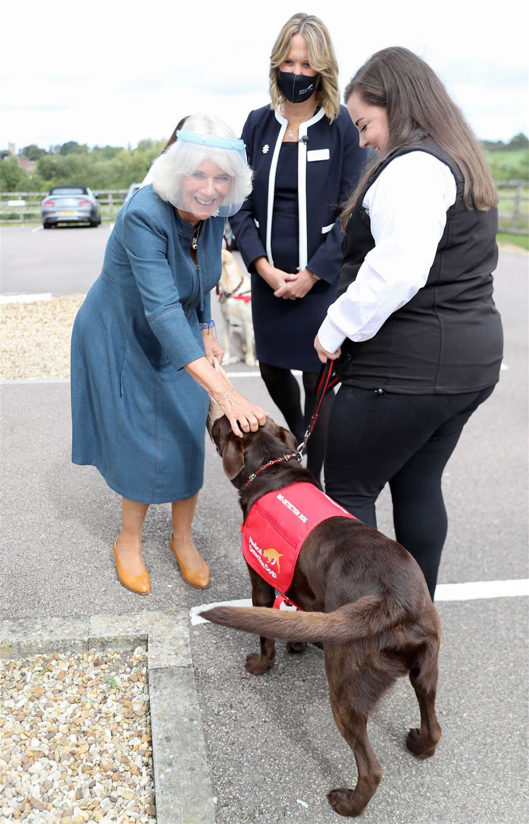 Camilla meeting Basil the dog in a visor at the Medical Detection Dogs charity’s training centre in September (Chris Jackson/PA)