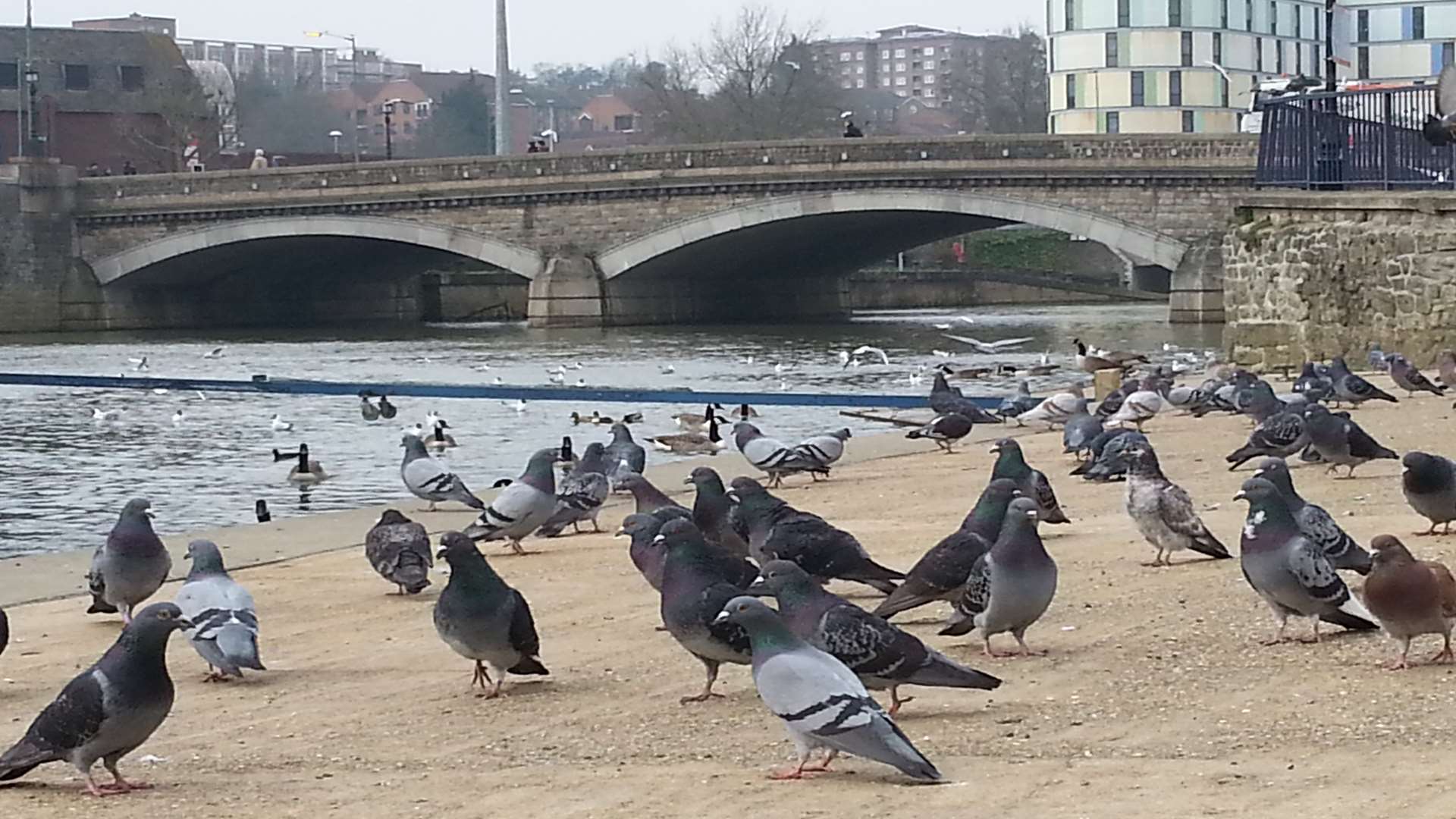 The bridge system in Maidstone