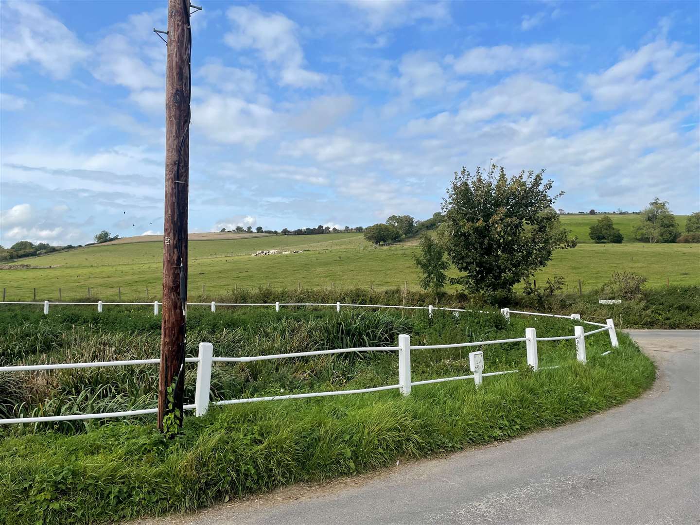 A pond-come-soakaway lies just metres down the road from the entrance to the site.