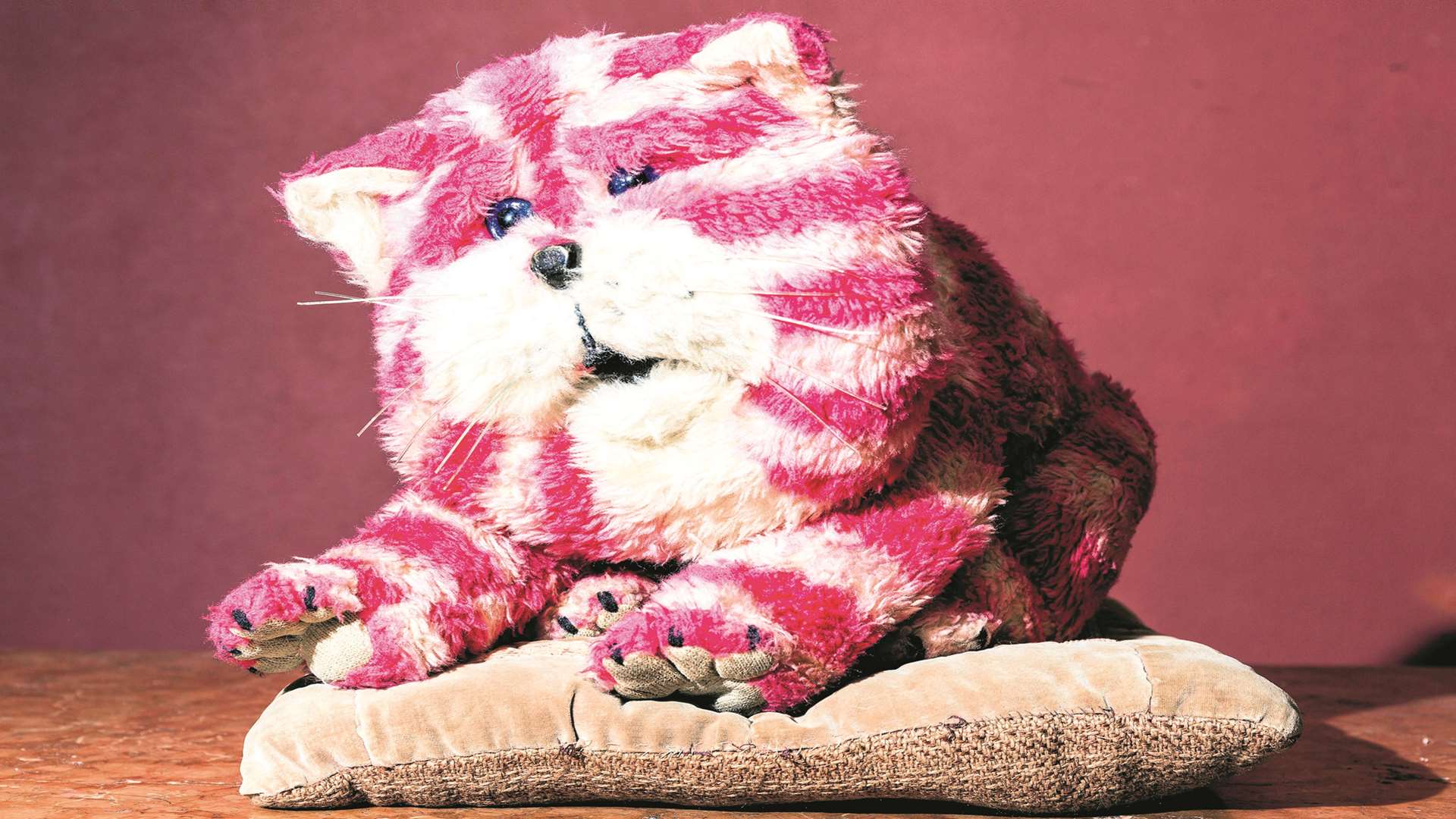 Canterbury's own Bagpuss