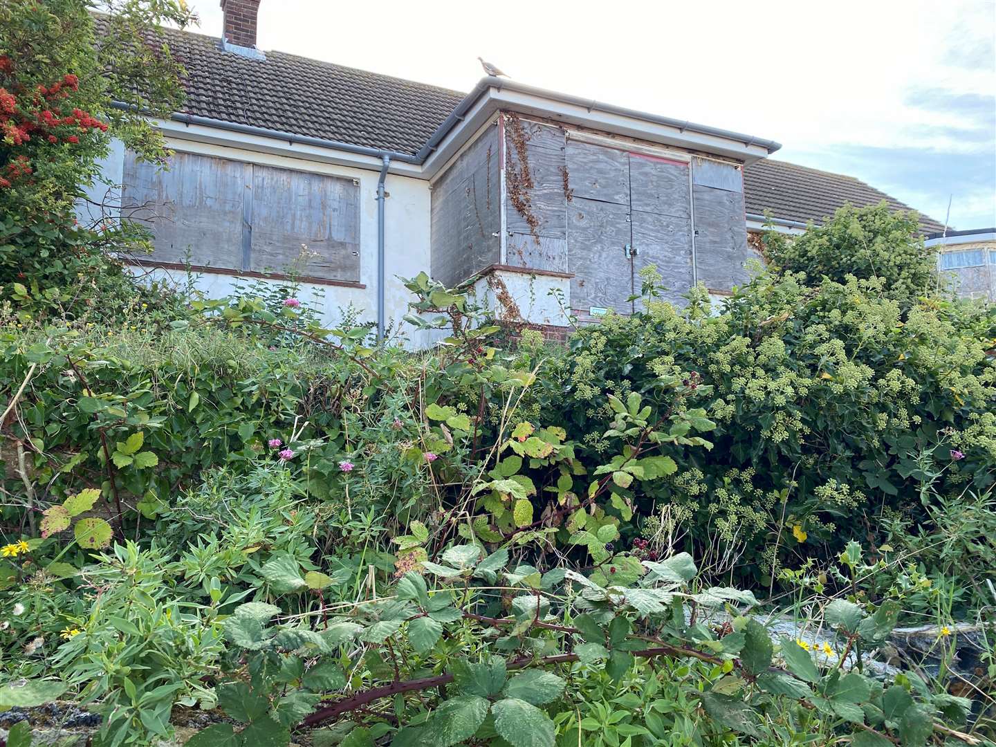 Neighbours describe the Herne Bay house as “horrible”, “an eyesore” and “a waste”