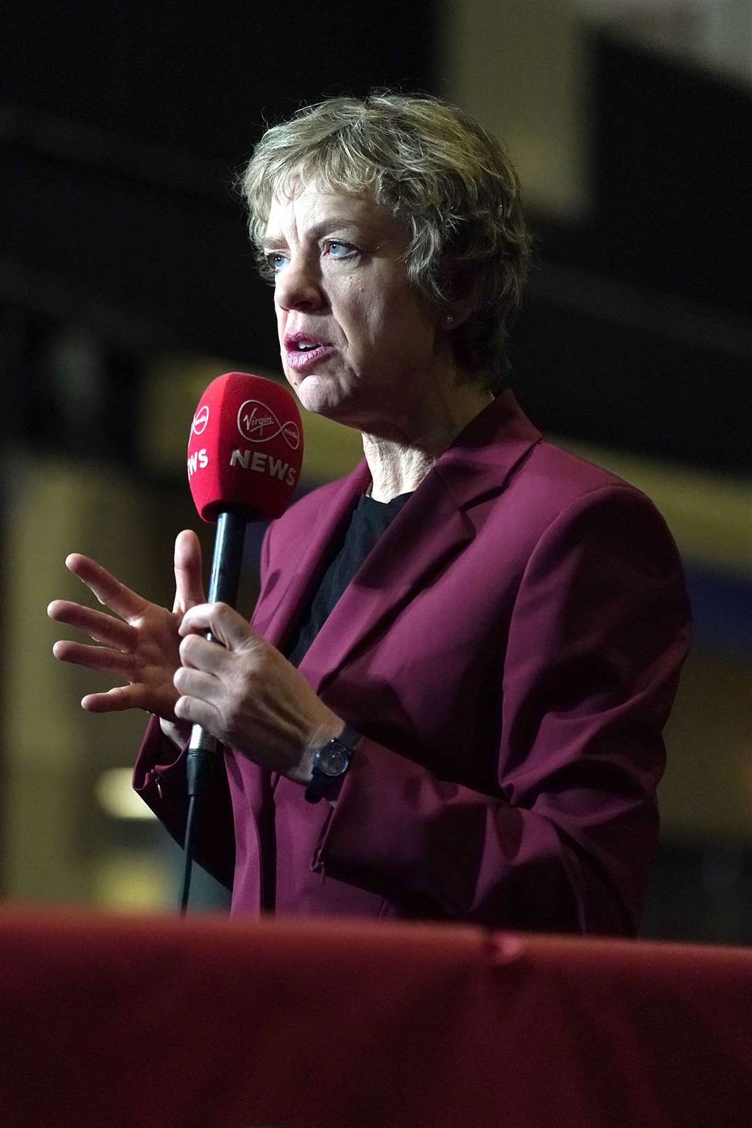 Labour Party leader Ivana Bacik at the election count centre at RDS Simmonscourt, Dublin (Brian Lawless/PA)