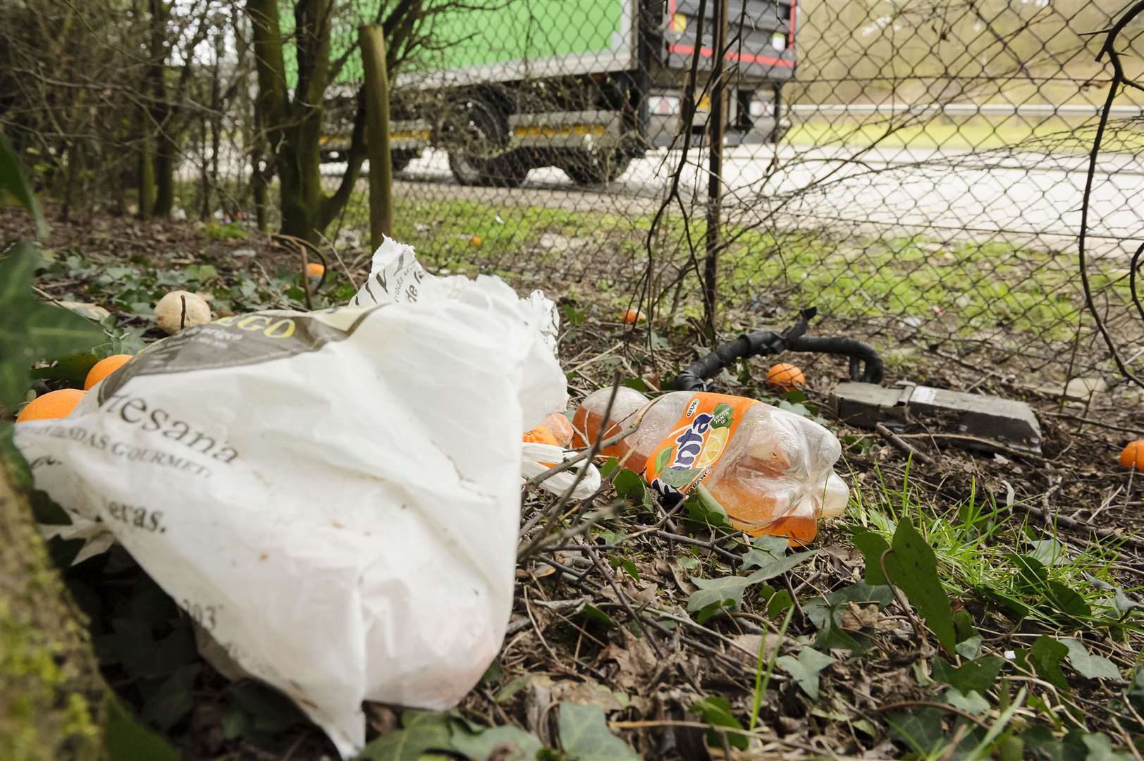 Litter beside a road in Kent Picture: Andy Payton