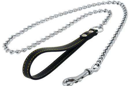 Dog chain stock picture