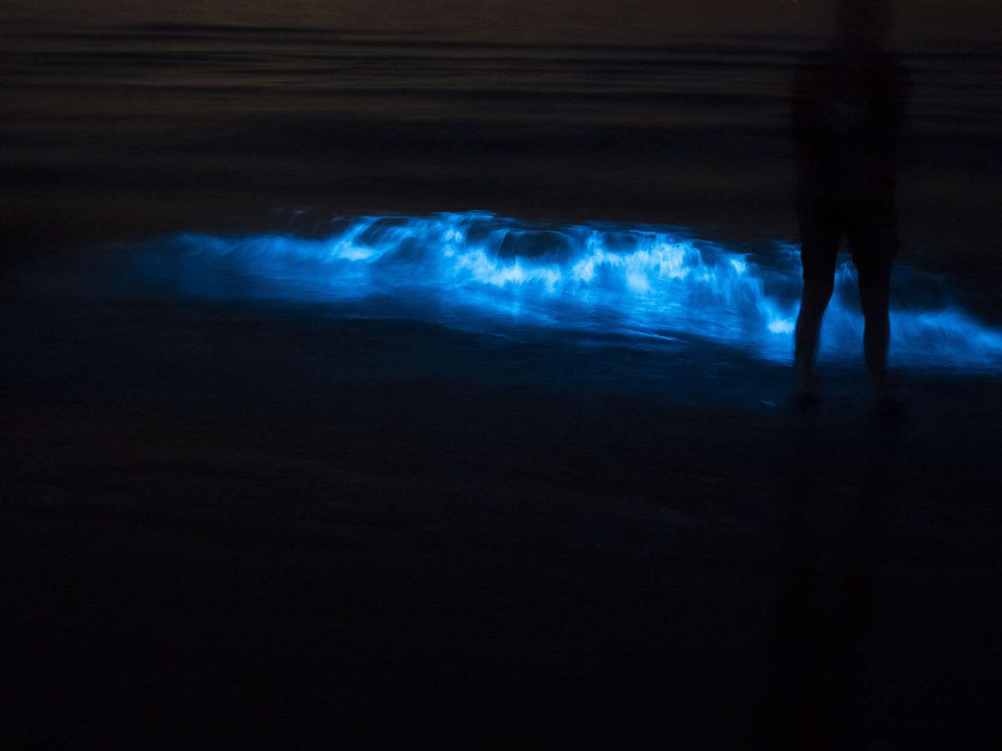 The stunning sight in St Mary's Bay. All photos: Kelly Reeves/Little Pandas Photography