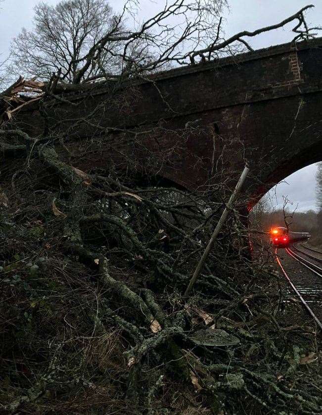 Trees on the tracks in Wadhurst near Tunbridge Wells have seen delays on the Hastings Line. Picture: Southeastern