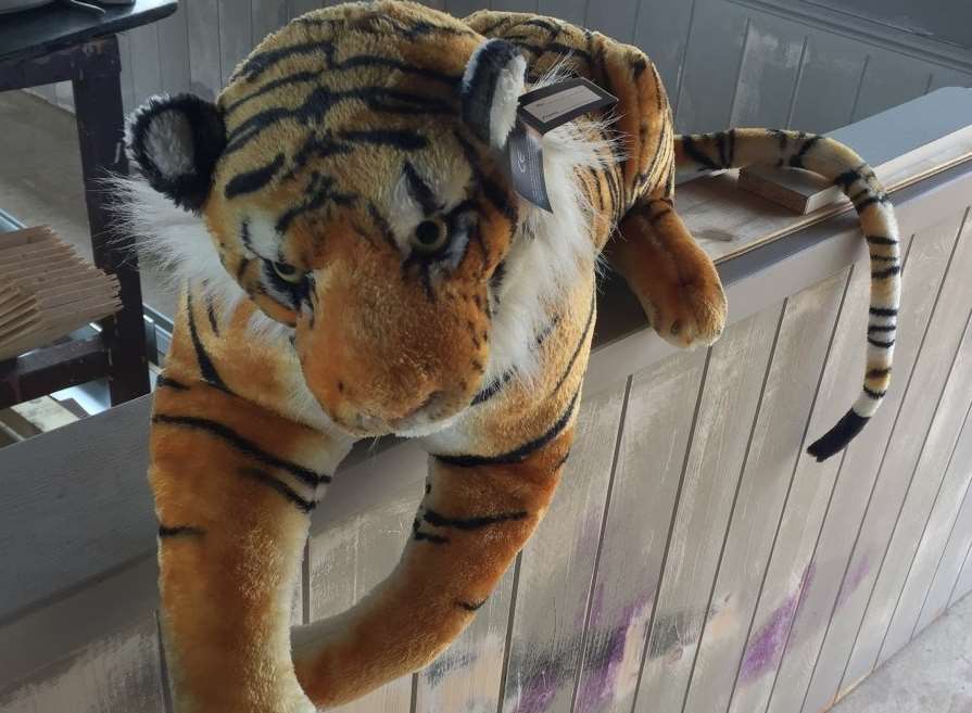 Police release tiger photo after raid on Herne Bay pier