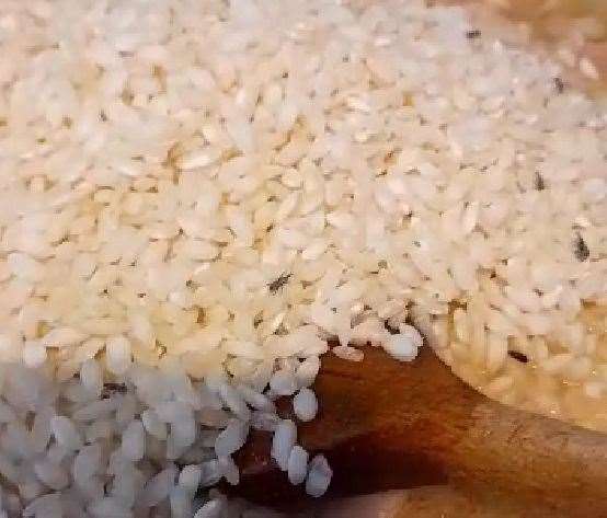 Nichola Jarvis, from Margate, was horrified after finding tiny bugs in a risotto purchased from Sainsbury's. Picture: Nichola Jarvis