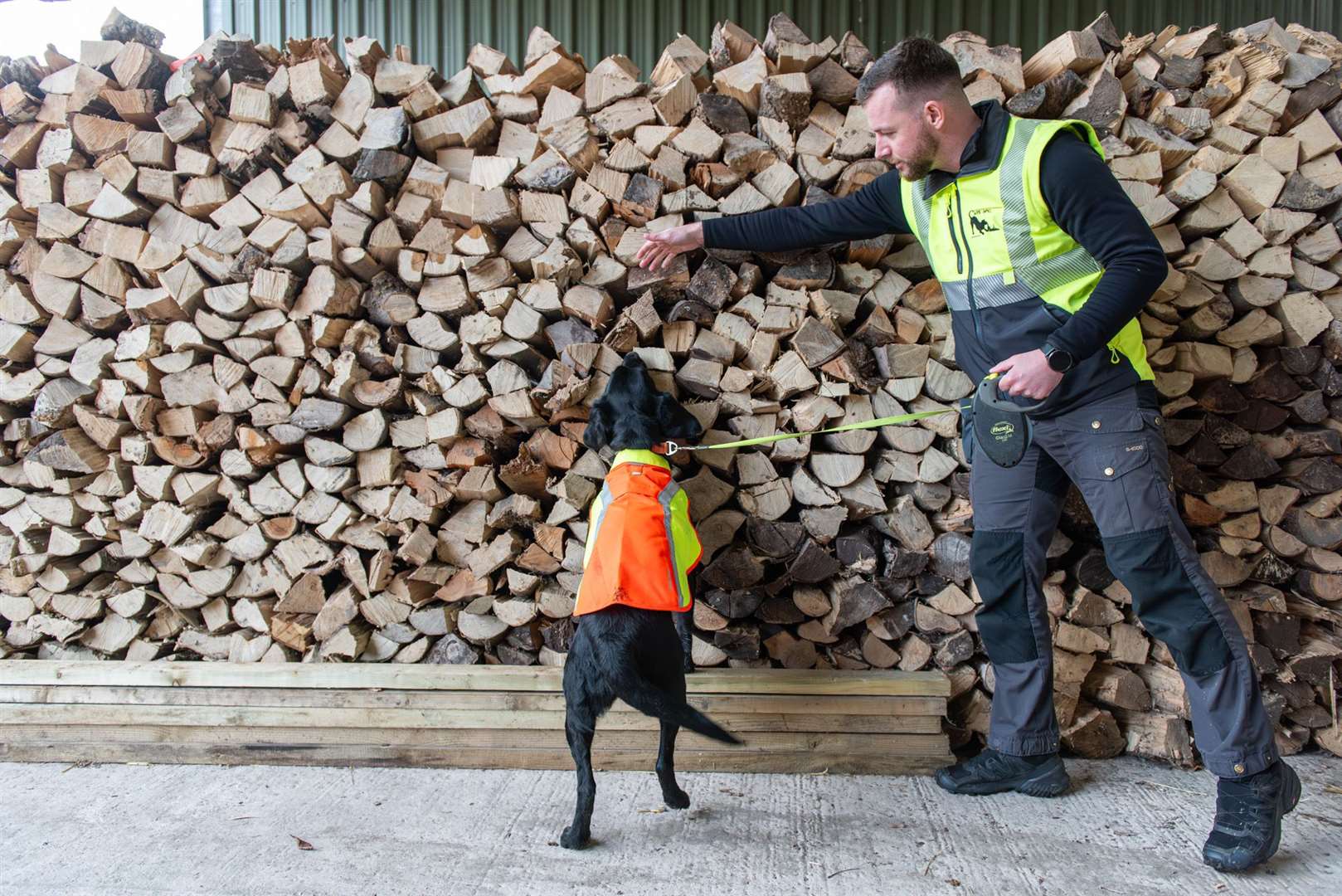 Ivor the sniffer dog is trained at Bents Garden Centre (Forest Research and Canine Assisted Pest Eradication)