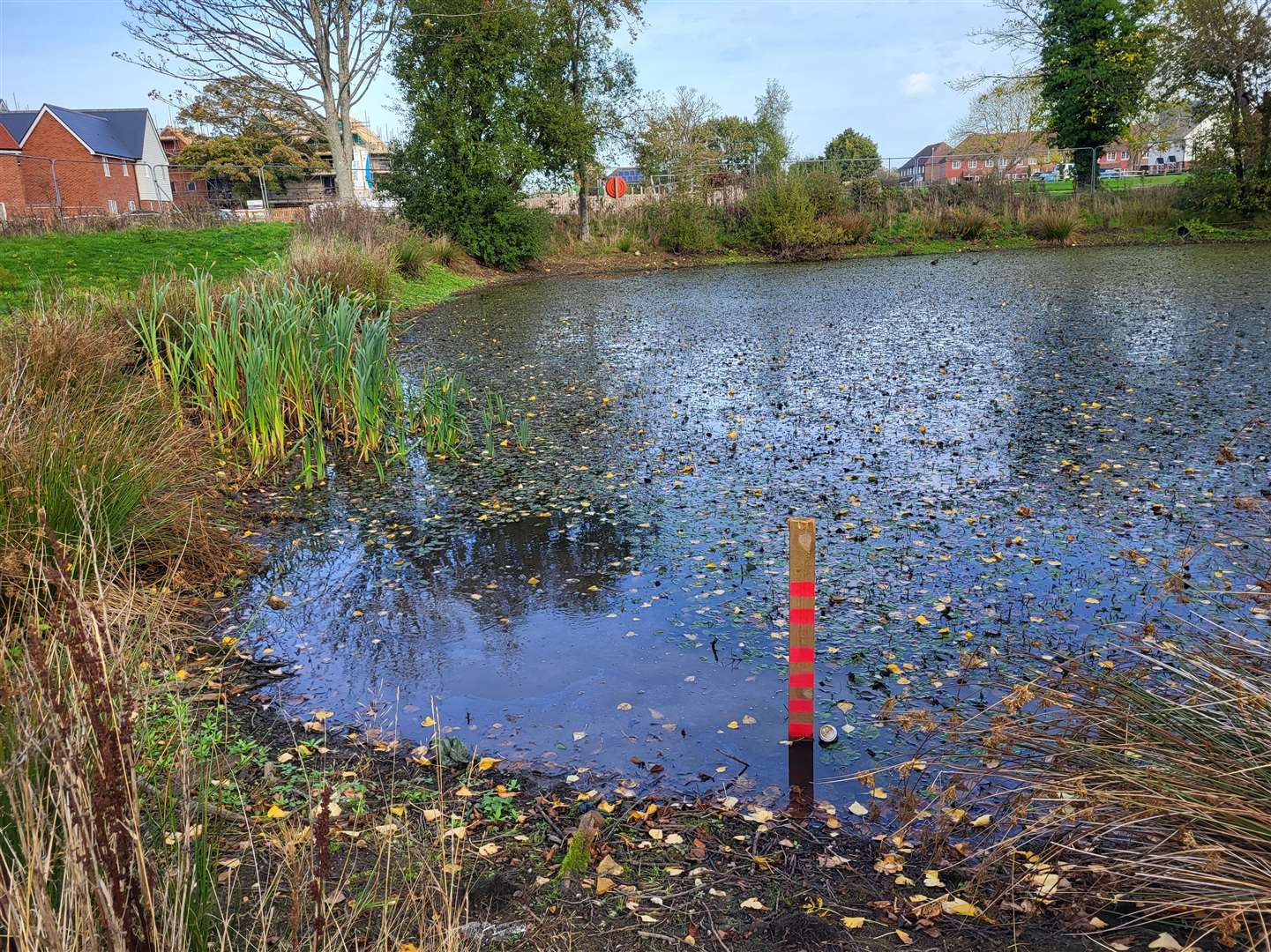 The pond is off The Cygnets in Sellindge