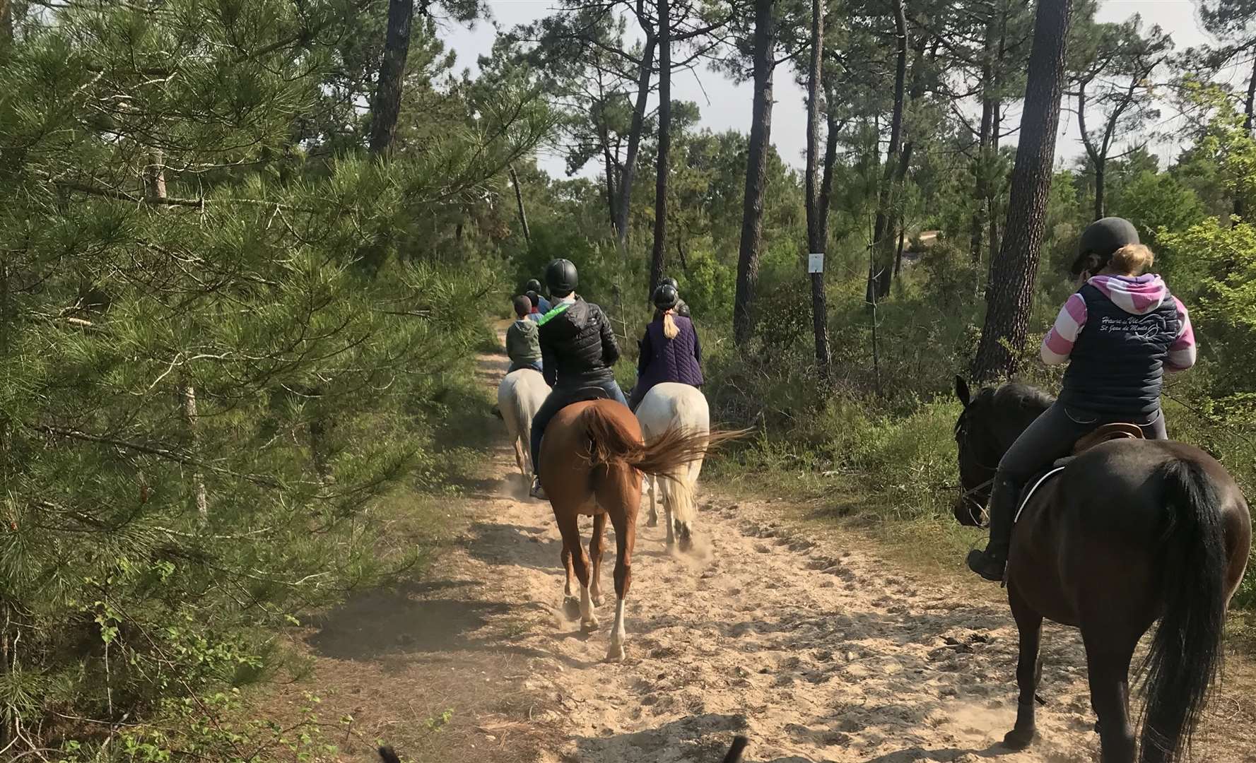 Go on a hack with Bursted Manor Riding Centre (picture taken in different location)