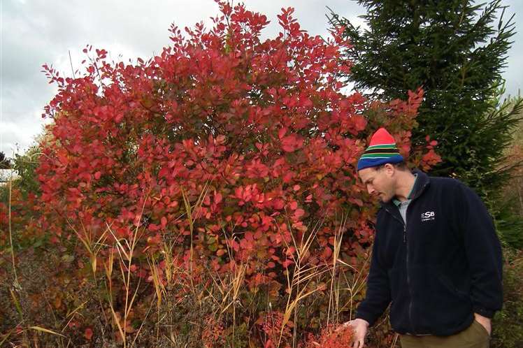 Tom inspects plans at the castle