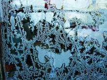 Frosty patterns on a greenhouse window