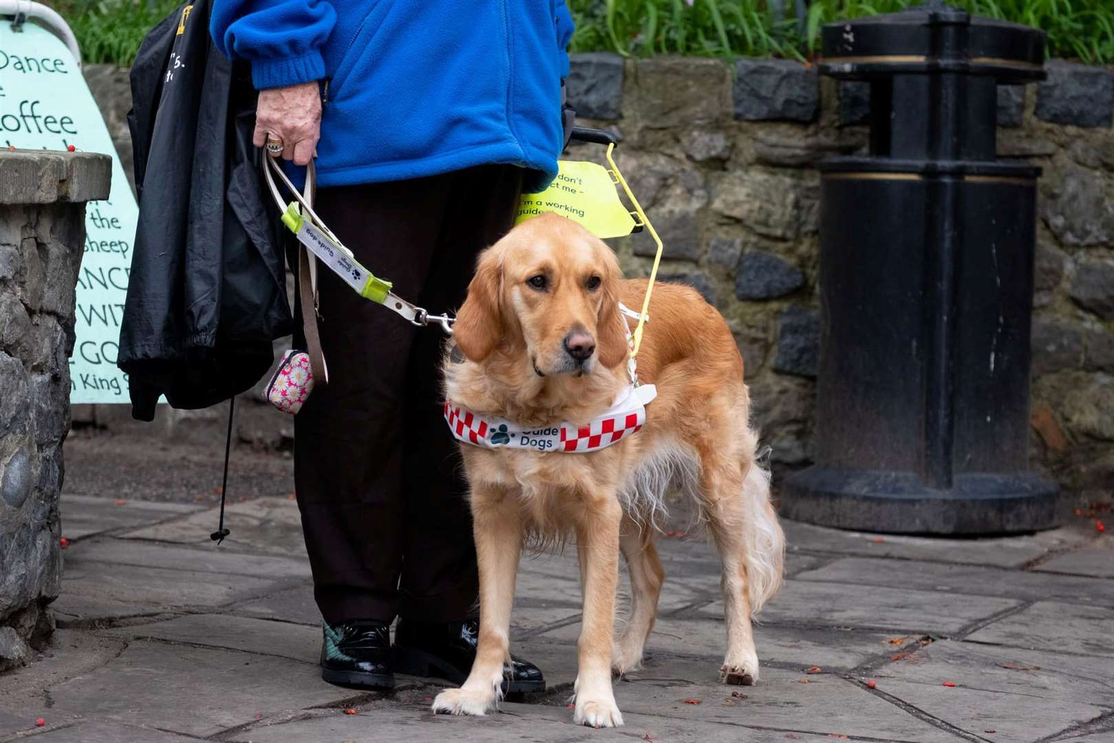 Patricia hopes Narla, who is just three-years-old, can recover from the incident