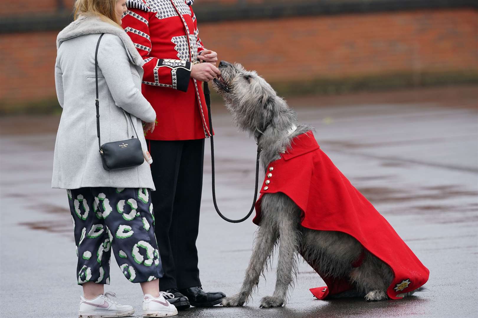 Mascot Seamus is rewarded for his efforts leading the parade with a treat (Yui Mok/PA)