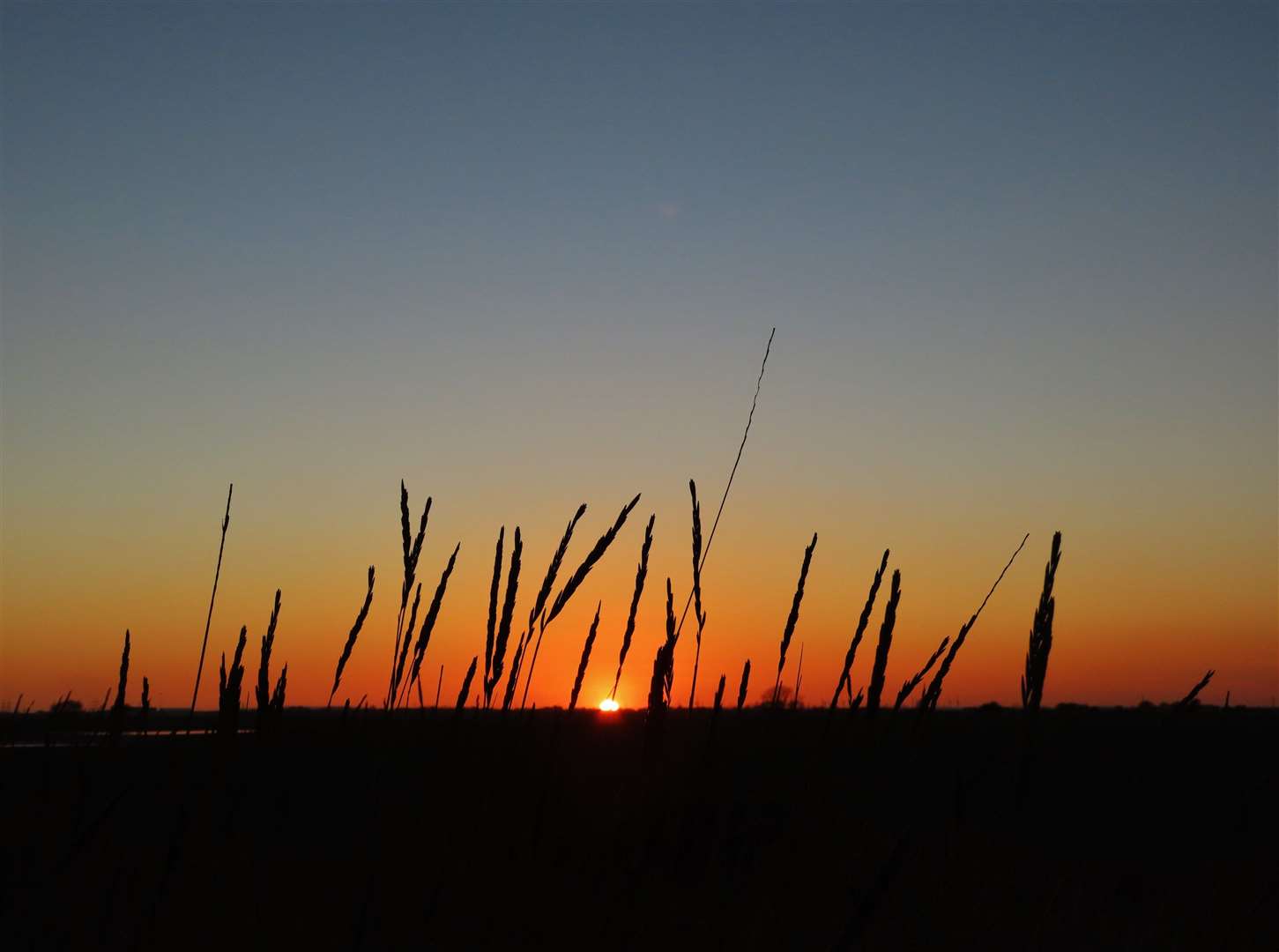 Ian Hook captured this stunning sunset picture in Romney Marsh Picture: @ianhook66