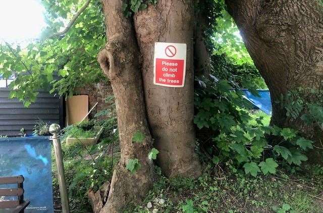 I always abide by the rules so, although there was no-one around, I didn’t climb the trees