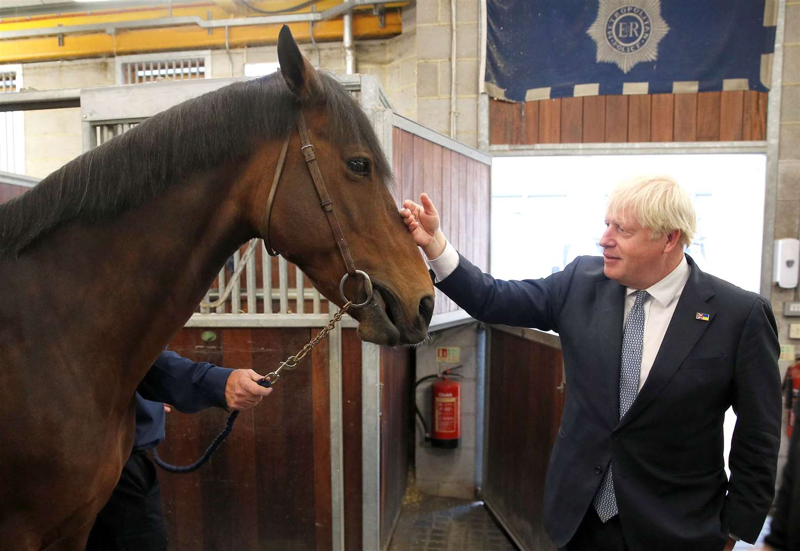 Meeting Vimala, a police horse, during a visit to a Metropolitan Police station in south east London (Peter Nicholls/PA)