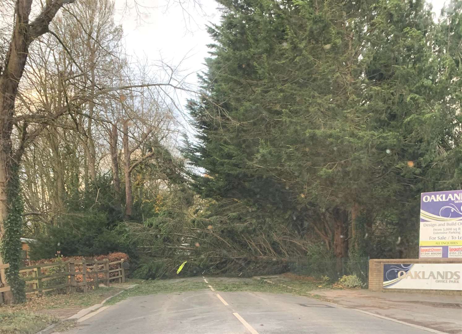 A fallen tree in Willaston, Cheshire, in the aftermath of Storm Arwen (Adrian O’Brien/PA)