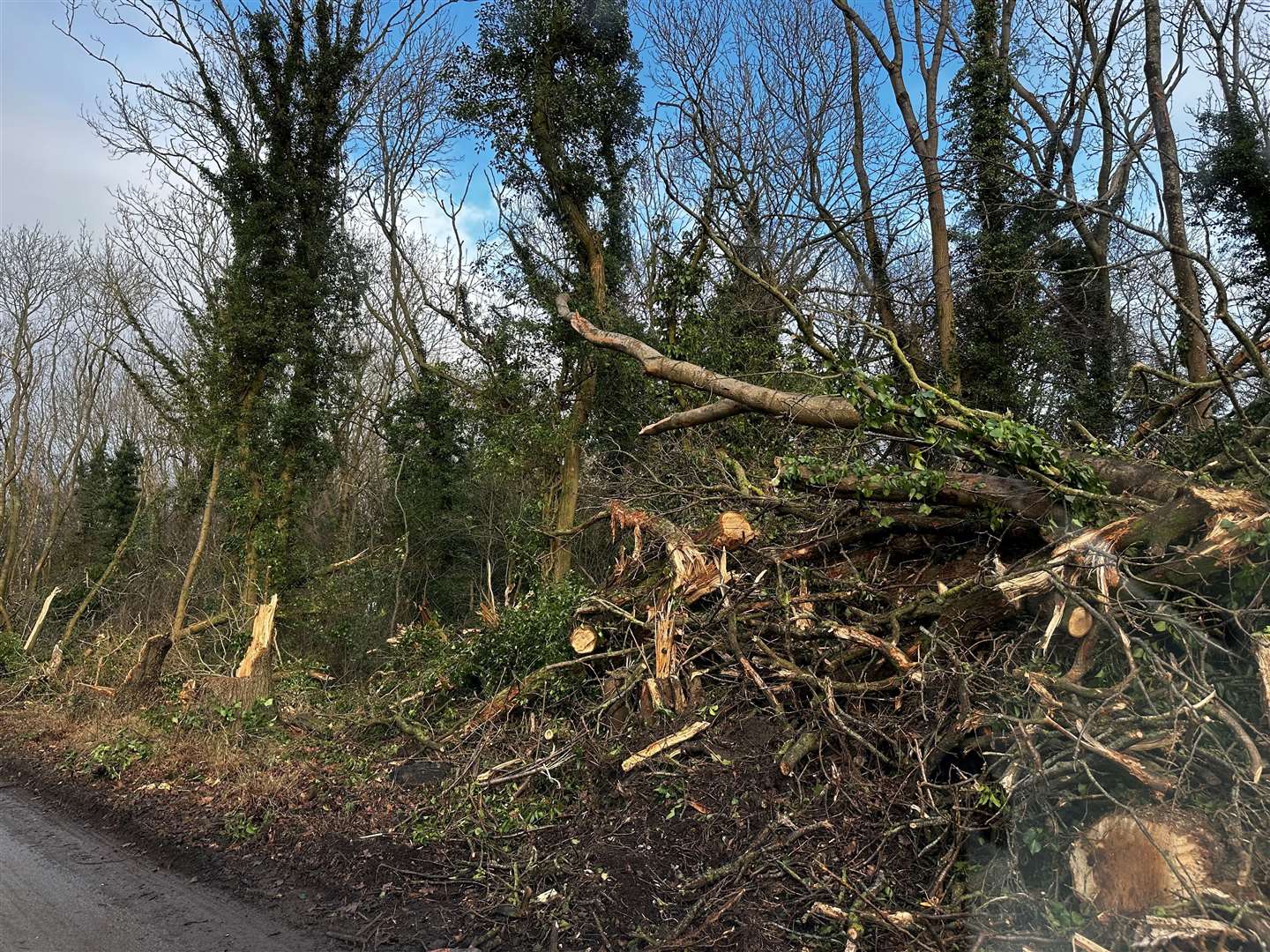 Trees and hedgerows have been damaged in the process