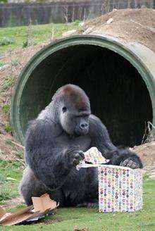 Ambam celebrates his birthday. Picture: Charlotte Jones