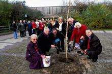 Elaine Hopkins, organiser, Cllr Roger Truelove, Cllr Alan Willicombe, Cllr Elvie Lowe, Dr Michael Baldwin, Mrs Joyce Fuller andCllr Adam Tolhurst help to plant a tree in honour of John Jordan