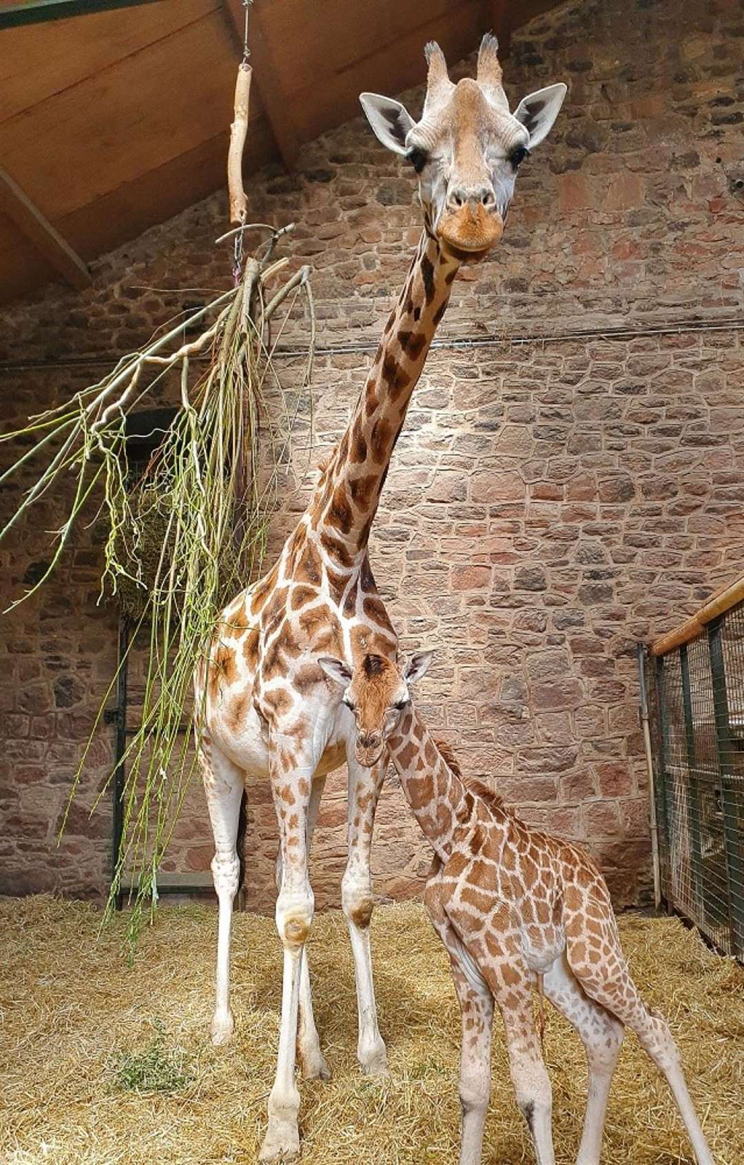 Stanley and his mother Orla (Caroline Wright/PA)