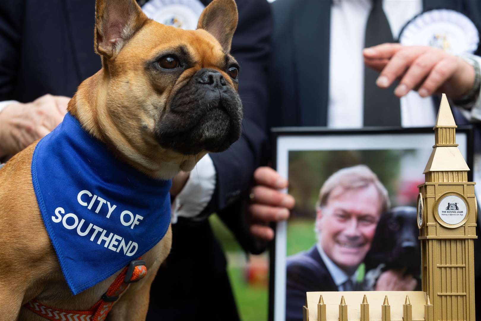 Sir David Amess’ French Bulldog, Vivienne won the the Westminster Dog of the Year competition