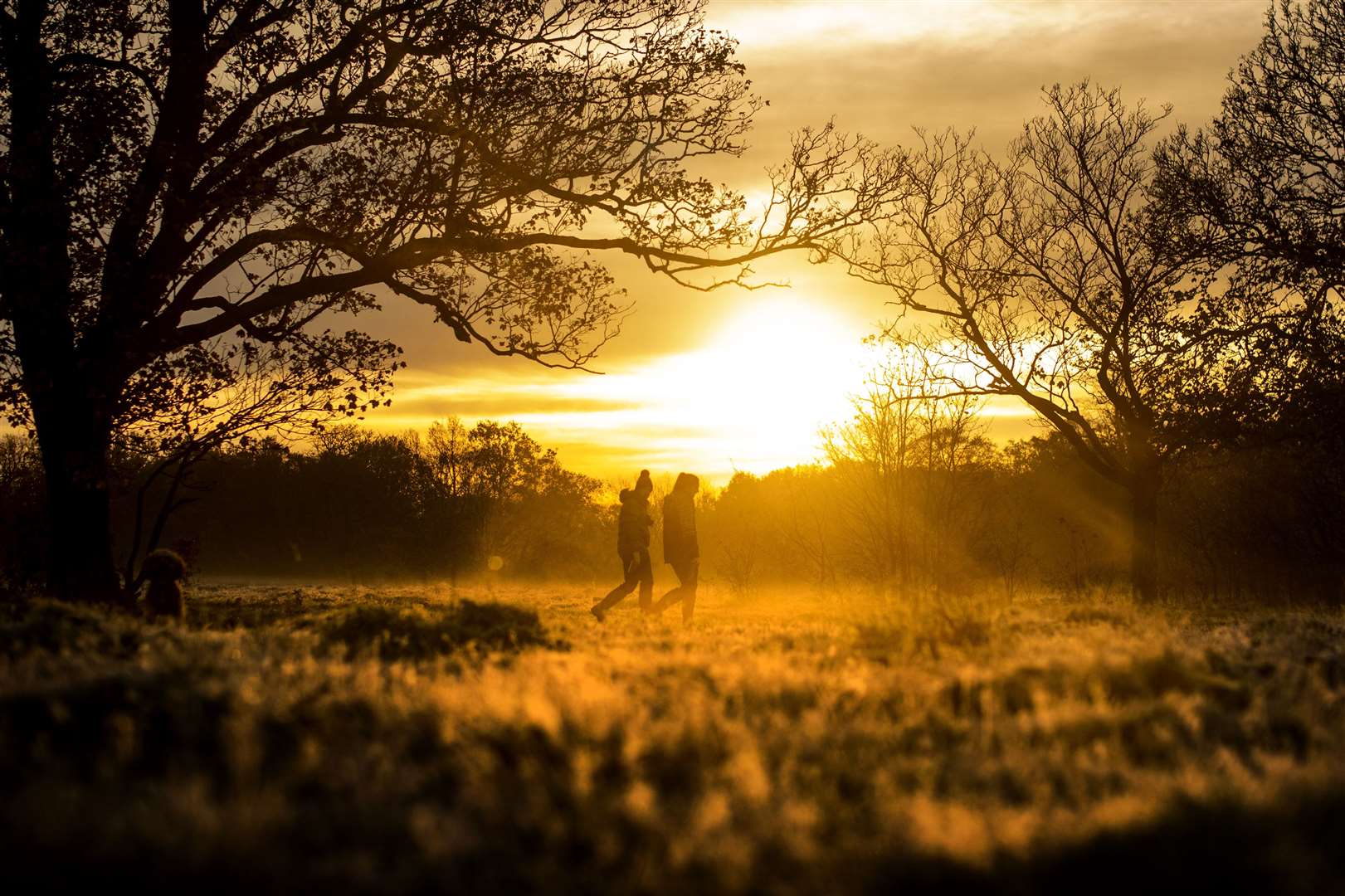 Frosty nights will be followed by warm sunny days this week, the Met Office has predicted (Victoria Jones/PA) 