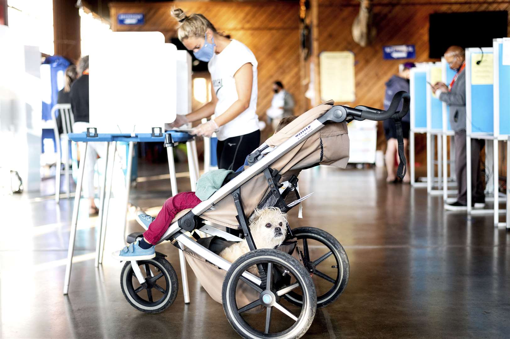 A voter in California tucked her dog into her stroller as she went to vote (AP Photo/Noah Berger)