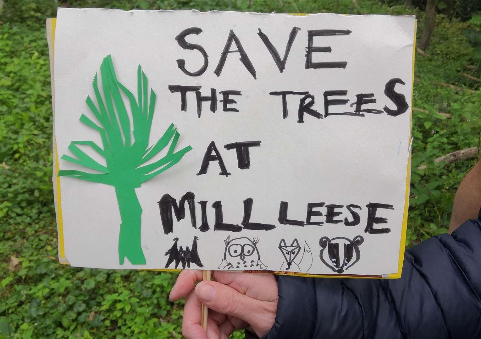 Woods at Mill Leese, near Saltwood Castle. Photo: Mike Slade