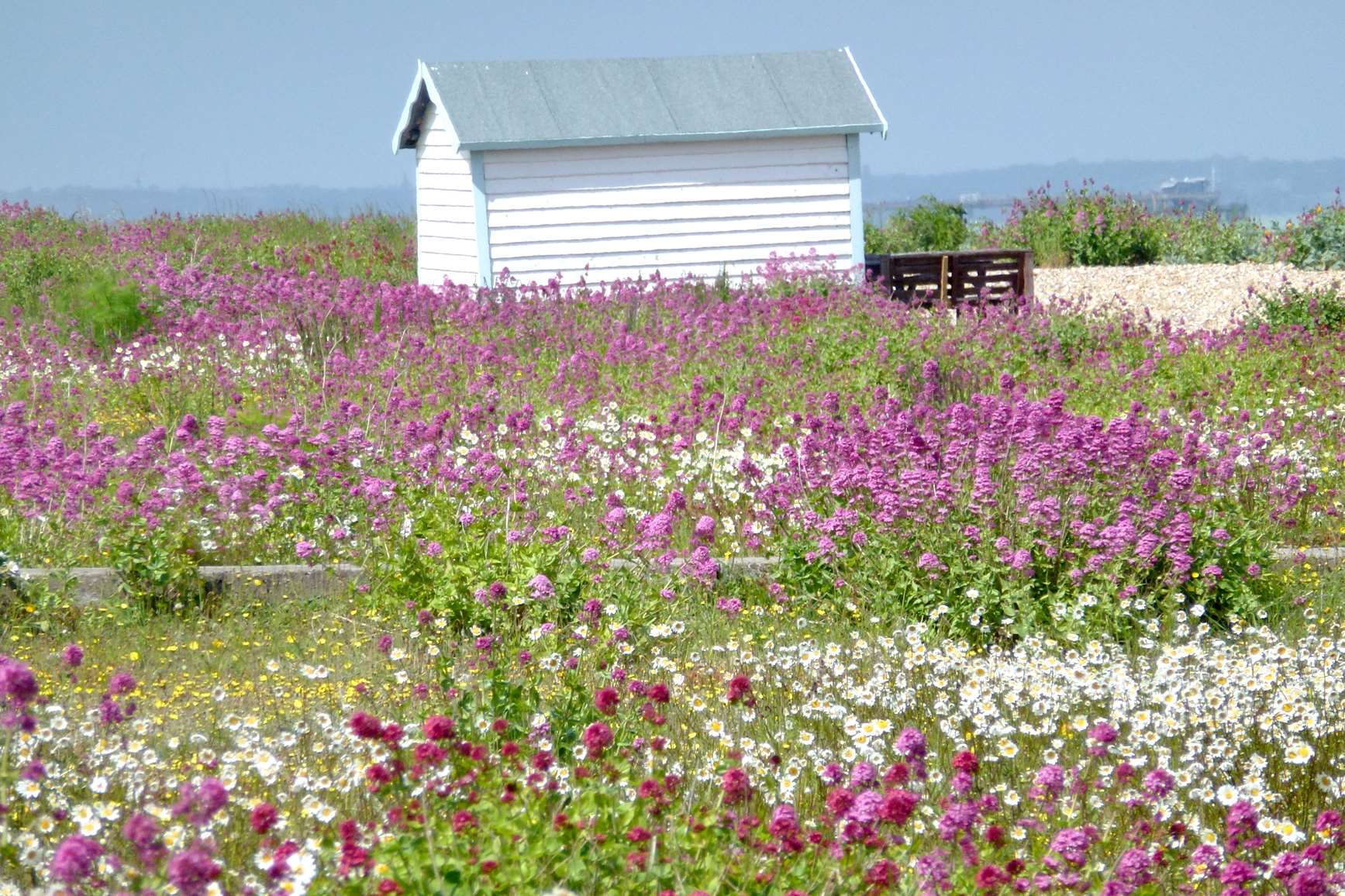 Unwind at Kingsdown Beach