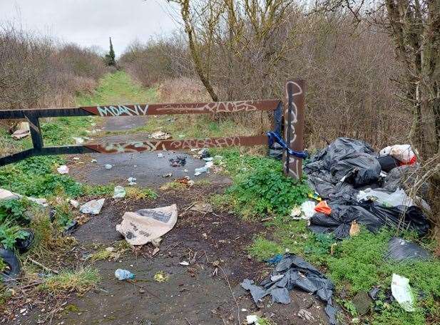 The fly-tipping was found in Whitstable Road, Herne Bay. Picture: Canterbury City Council