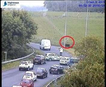 The cow has now been moved off the carriageway. Picture: Highways England. (10706086)
