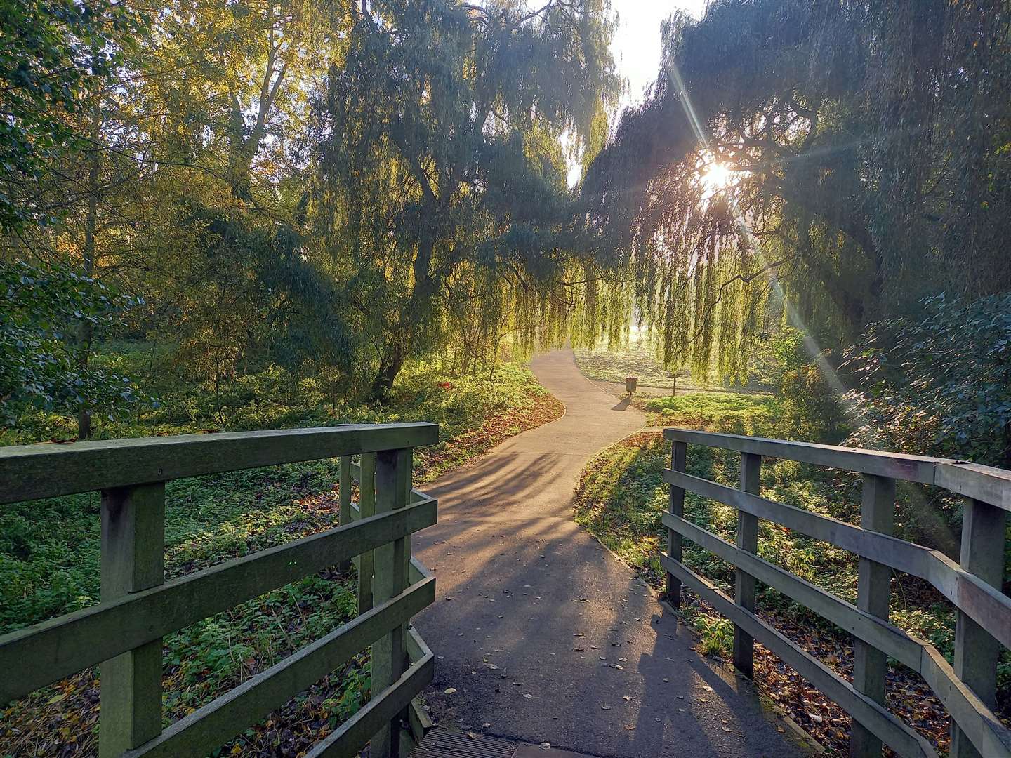 The city location is a popular beauty spot