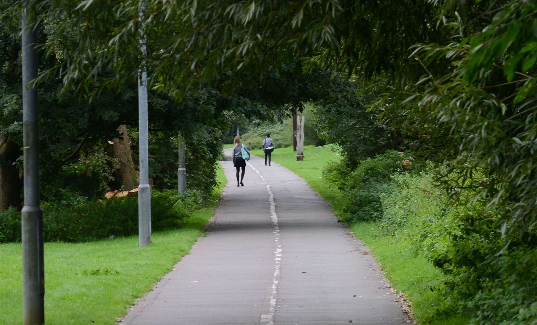 The incident happened in Queen Mother's park, Ashford