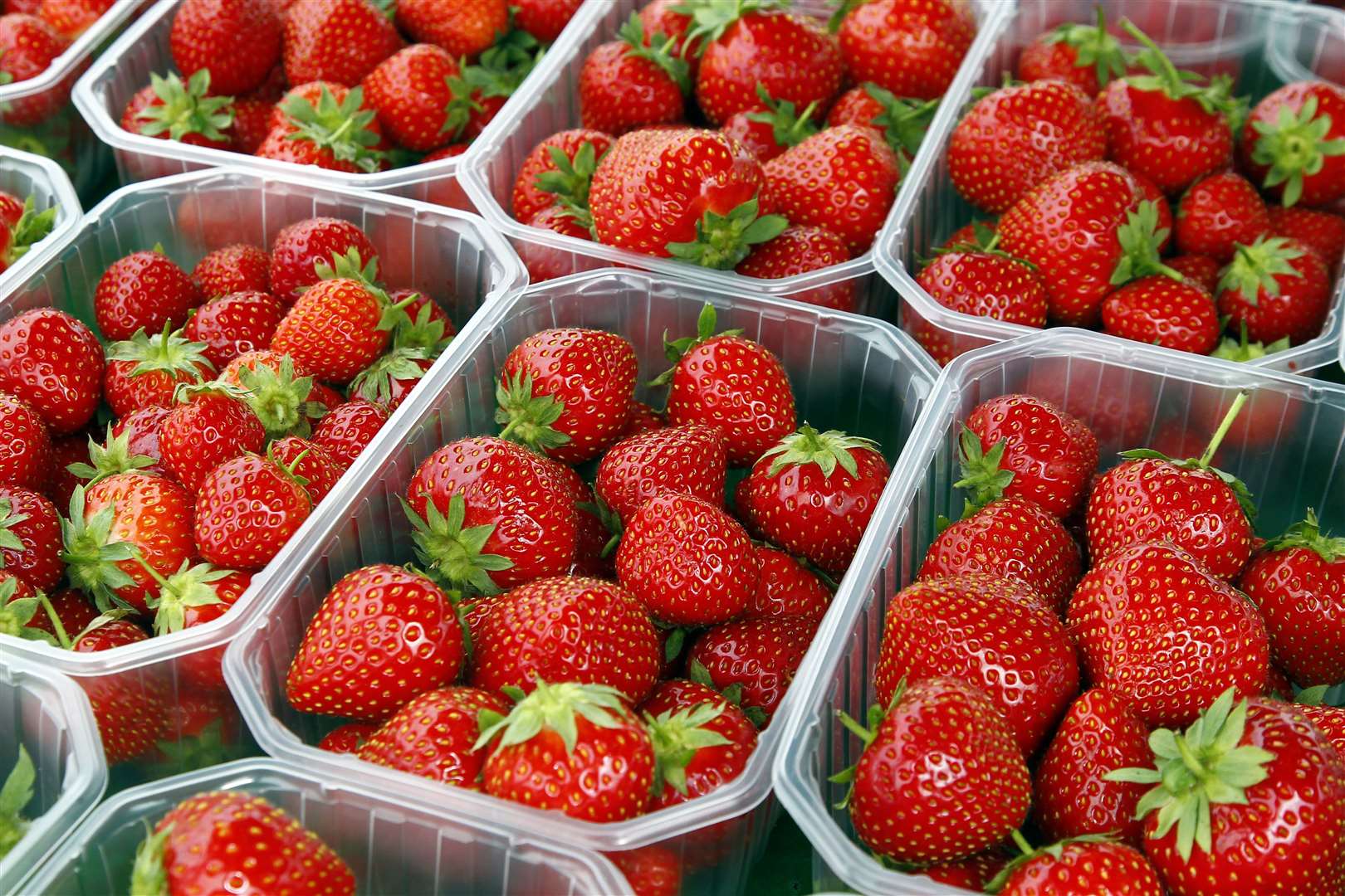 Thousands of strawberries will be served at Wimbledon, but the crop is among those at risk if our population of pollinators dwindles