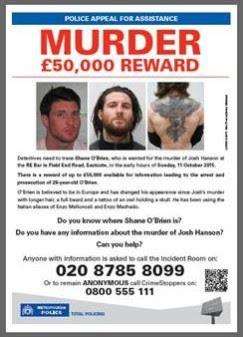 Wanted - Shane O'Brien