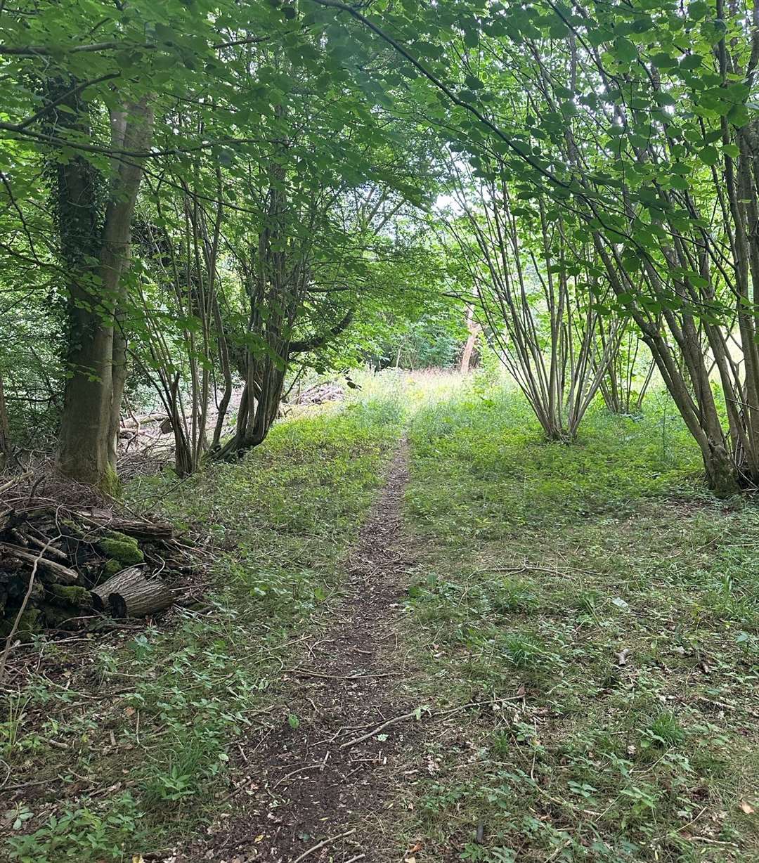 Sir David Attenborough and his producers fell in love with the sleepy wildflower meadow