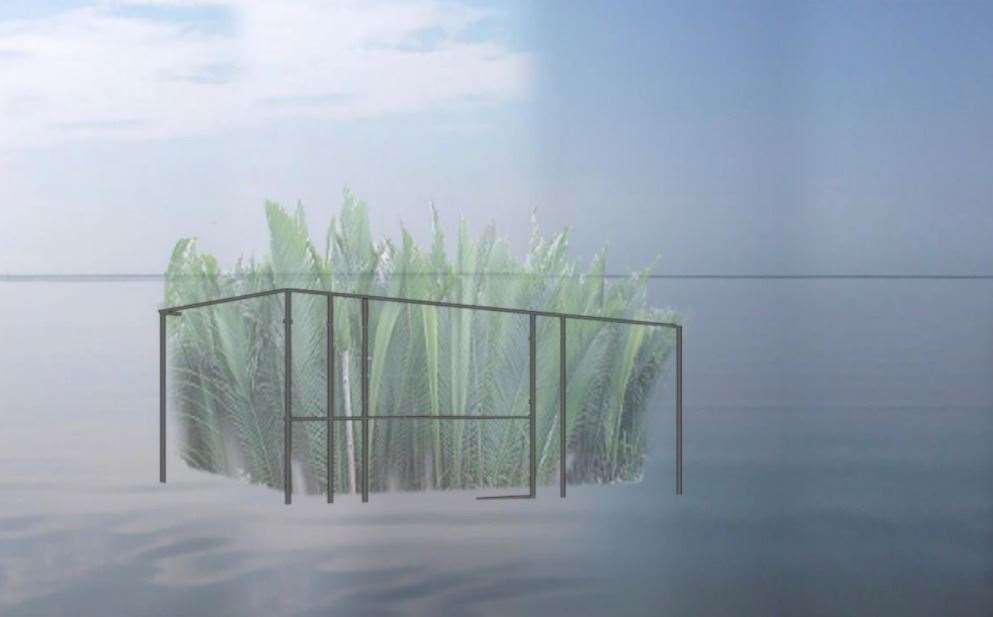 An artists impression of Vanishing Point, by Mary Mattingly for Southend Pier, a co-commission with Focal Point Gallery for Estuary 2021