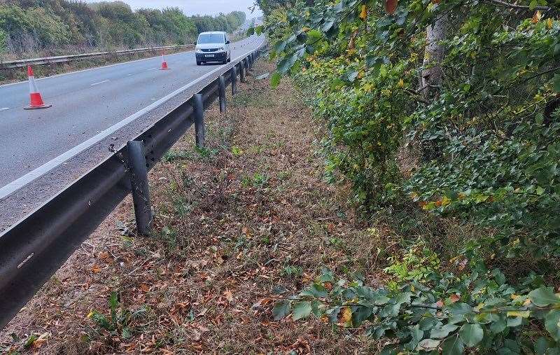 All of the A2 verges in Canterbury district were cleaned up. Picture: Canterbury City Council