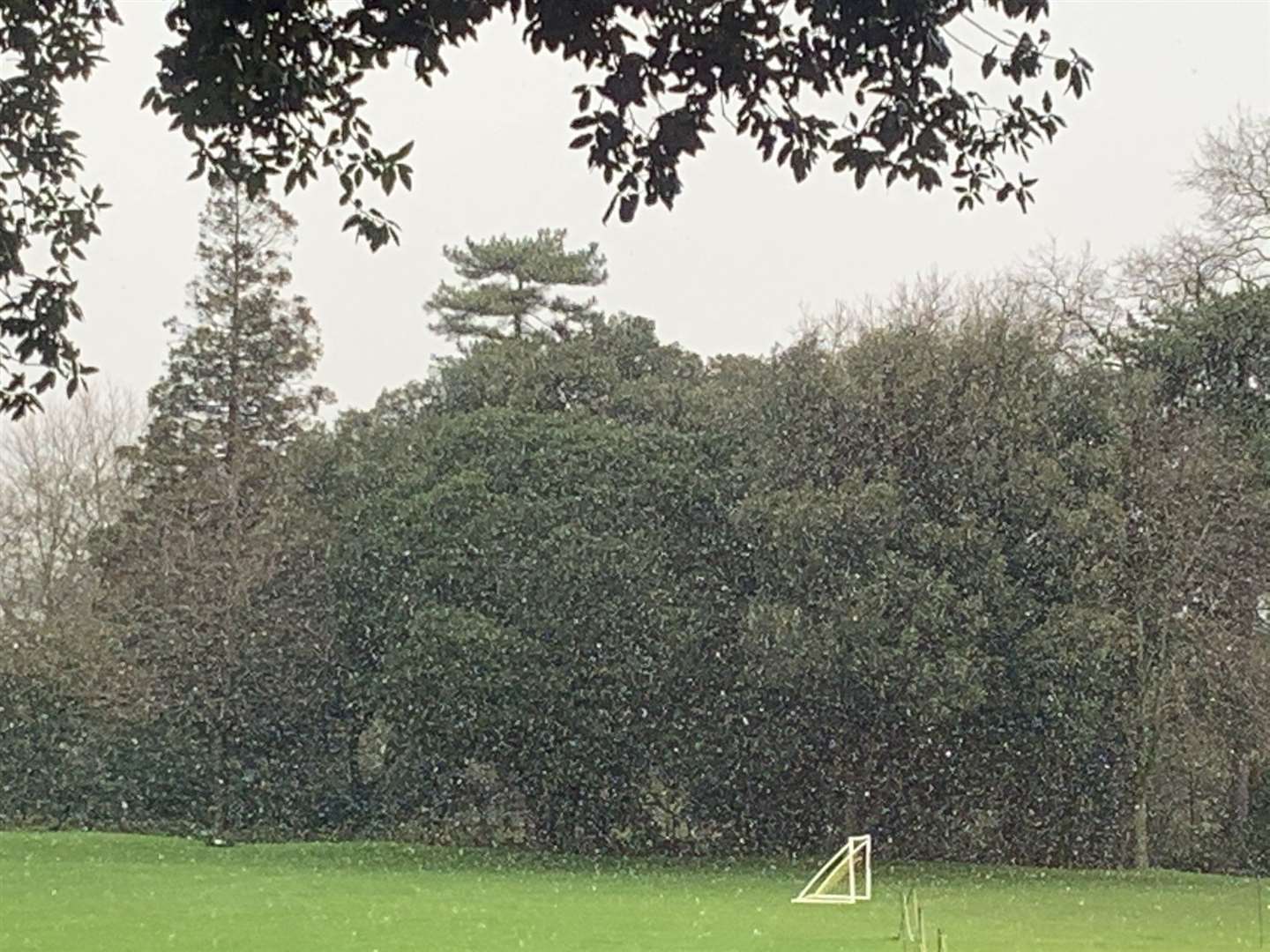 Snow falling in Kent this morning