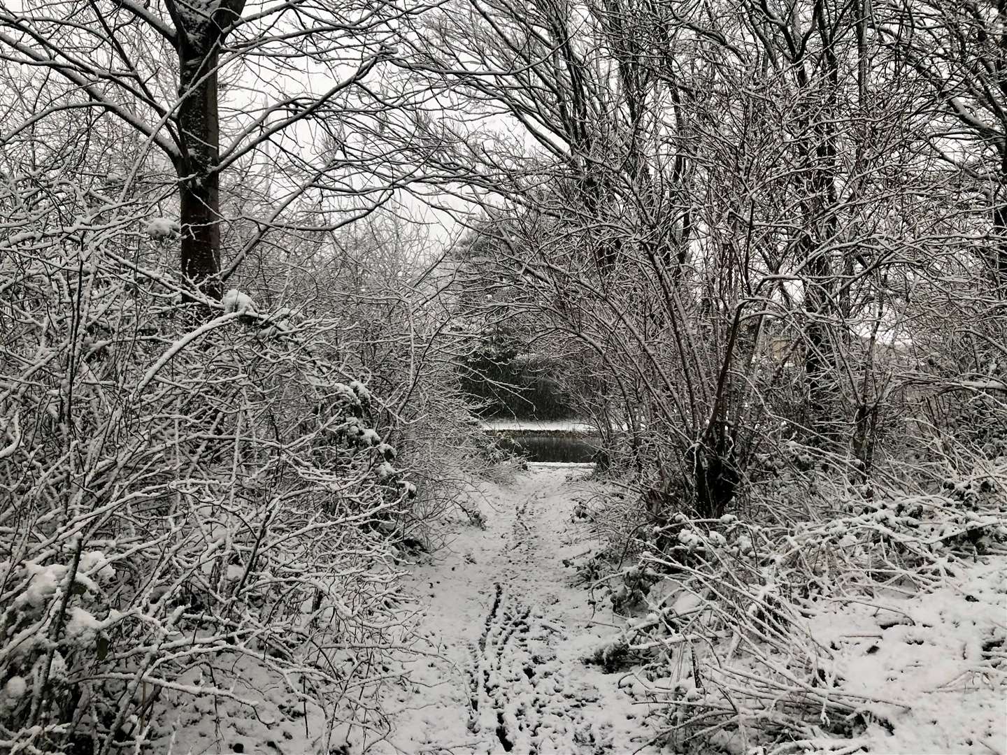 Snow may fall in parts of the country (Beth Edmonston/PA)