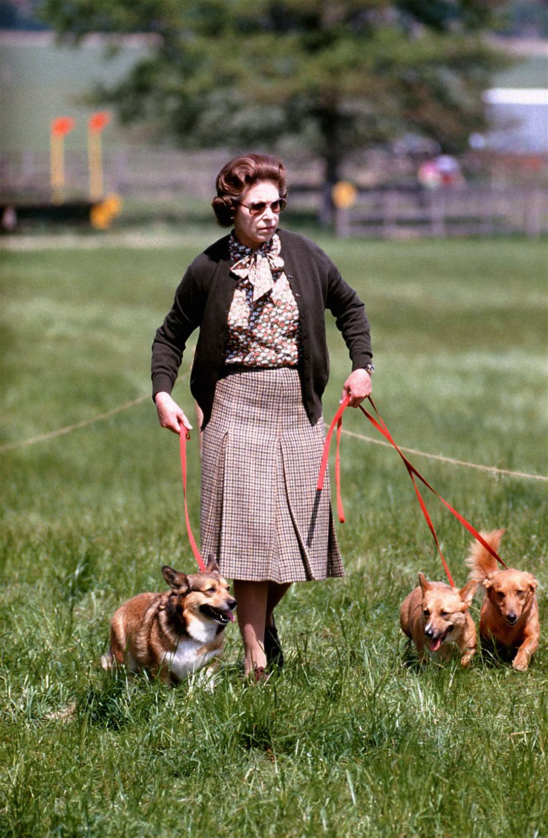 Queen Elizabeth II with some of her dogs (PA)