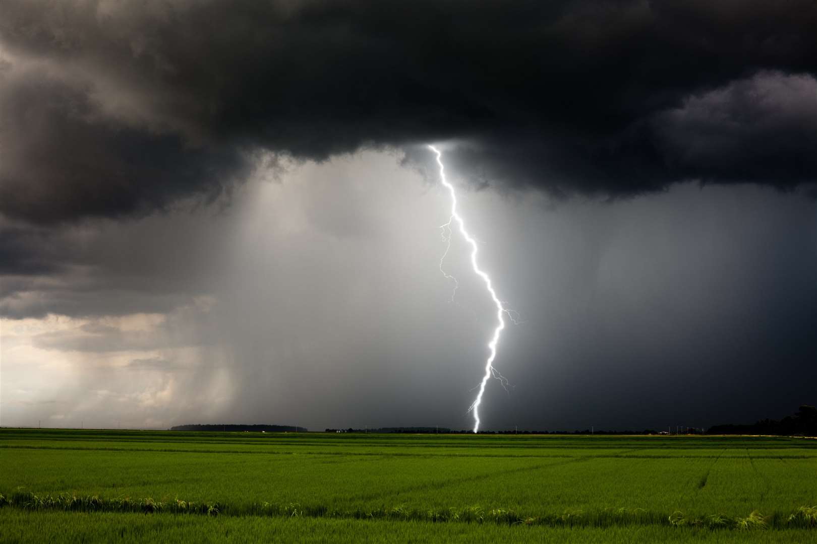 The Met Office is forecasting thunderstorms.