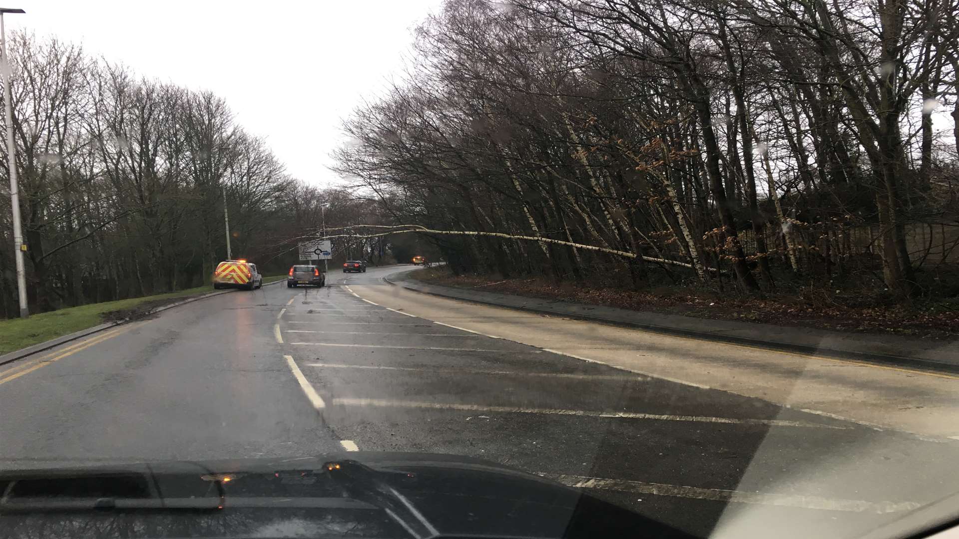 The fallen tree has blocked a portion of the road.