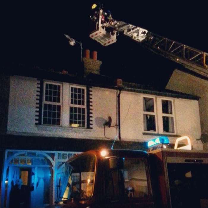 A major recovery efforts was launched when a seagull was discovered impaled on a TV aerial