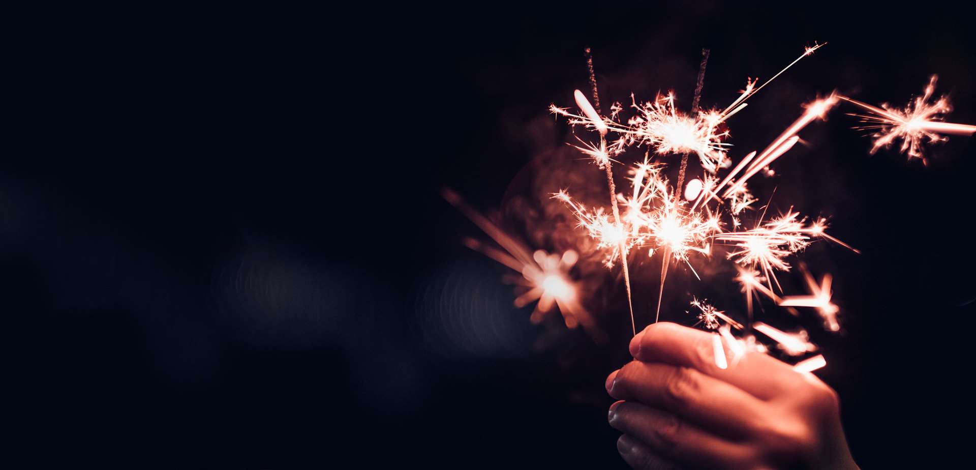Used irresponsibly, fireworks can cause damage to property and do significant harm to people and animals. Not only is there a danger from fireworks exploding, they can also pose a serious fire risk as well.