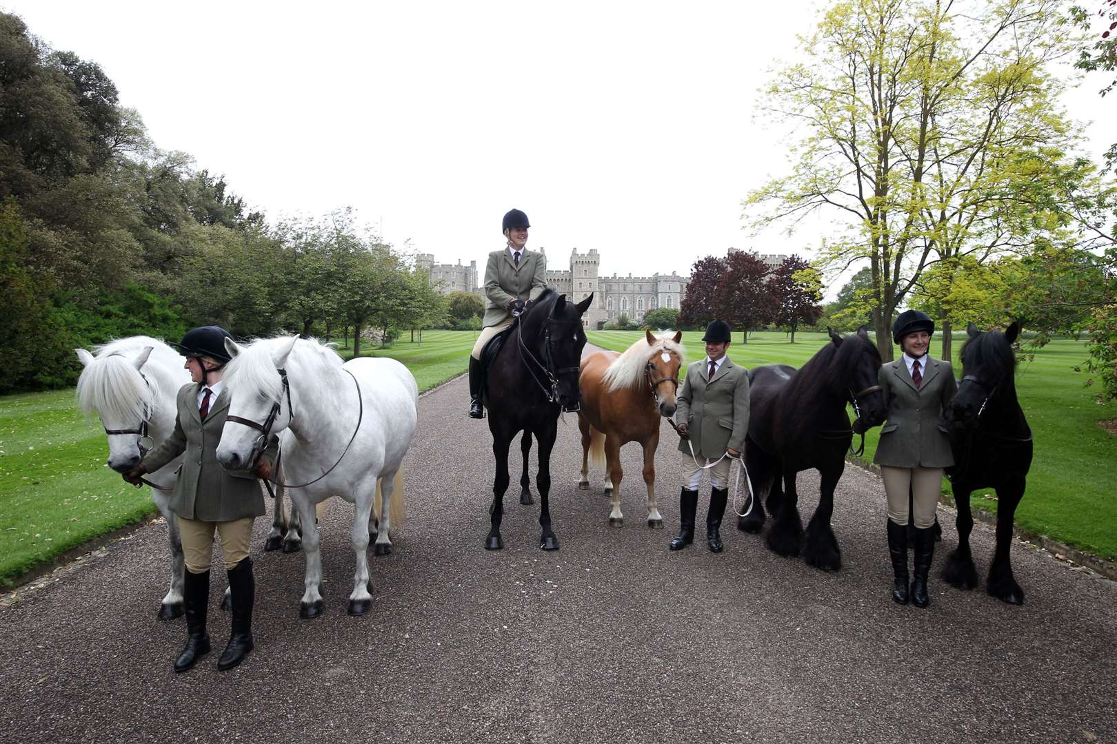 Emma the Fell Pony (far right) with some of the Queen’s other horses (Steve Parsons/PA)